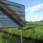Aprovada PEC que define indenização para terras indígenas demarcadas após 2013