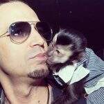 Latino coloca macaco Twelves para ‘fumar’ e seguidor diz: ‘Chama o Ibama’