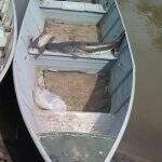 Pescador ilegal, ‘perde’ o barco e acaba multado durante o feriadão