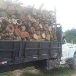 Caminhoneiro com carregamento de madeira ilegal é multado em R$ 6 mil