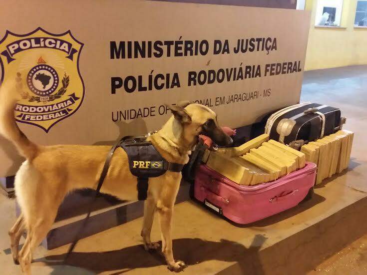 Vídeo: três são presos após cães identificarem bagagens com droga