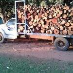 Proprietário de caminhão com 13 m³ de lenha ilegal é multado em R$ 7,8 mil