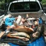 PMA prende e autua pescador com 141 kg de pescado ilegal no Pantanal