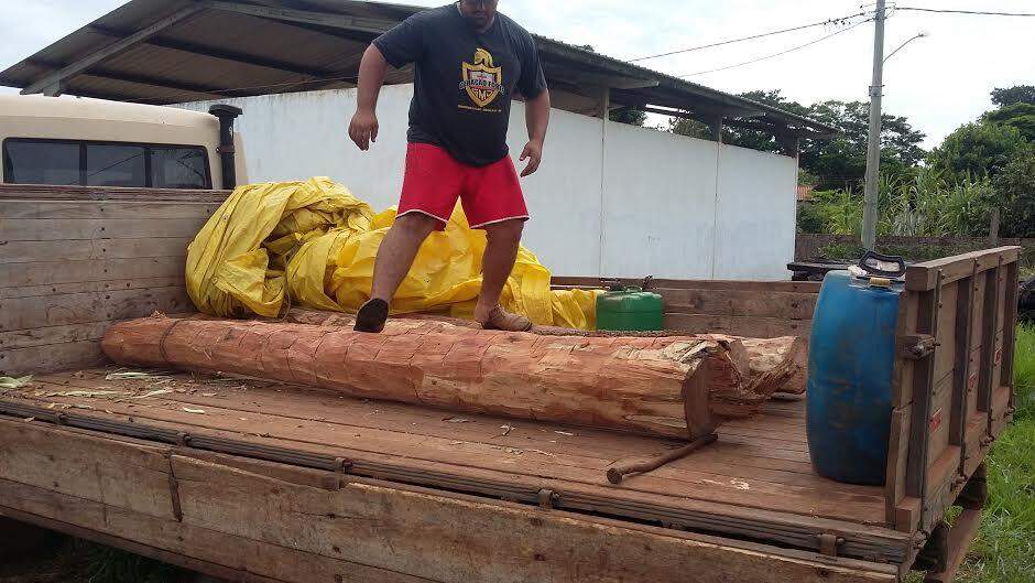 PMA autua homem e apreende caminhão com toras de madeira protegida
