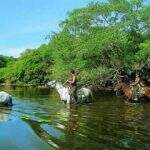 Sesc oferece pacotes para Pantanal com parcelamento em até 10 vezes