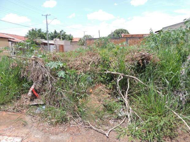 Prefeitura pode multar 97 terrenos irregulares em até R$ 7.340