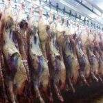 Sem gado para abate devido à entressafra, frigoríficos demitem 200 empregados em MS