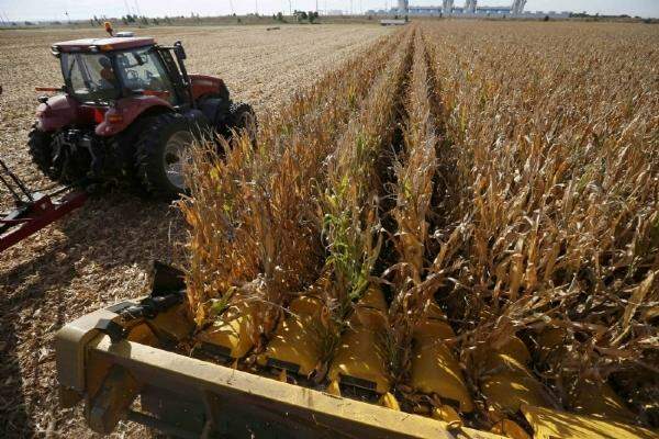 Governo envia PL que abre crédito suplementar de R$ 2,5 mi para a Agricultura