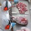 Frigoríficos interessados em exportar carne aos EUA devem pedir habilitação