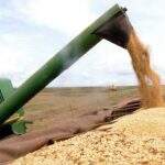 Com problemas climáticos, IBGE prevê produção de safra de grãos 17% menor em MS