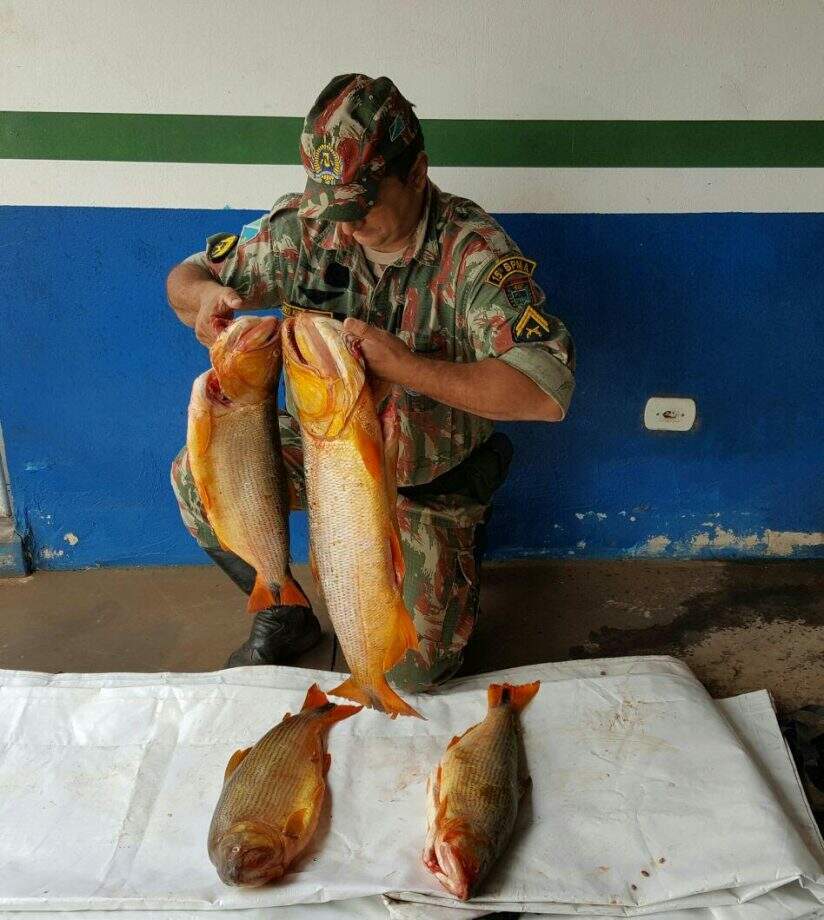 Dois pescadores são presos sem licença ambiental com 20kg de dourado