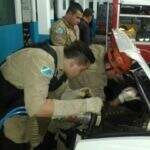 DOF precisa de ajuda de Bombeiros para ‘cortar’ carro e encontrar droga