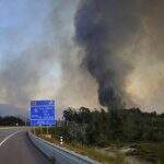 Incêndios que destruíram 1,5 mil hectares começam a ser controlados em Portugal