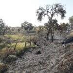 Com quase um mês de estiagem, fogo consome vegetação no Pantanal de MS