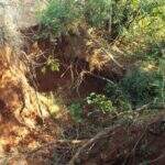 Proprietária rural é multada em R$ 30 mil por erosões em áreas de preservação permanente