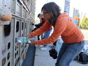 Ativista vai a julgamento por distribuir água a porcos que seriam abatidos