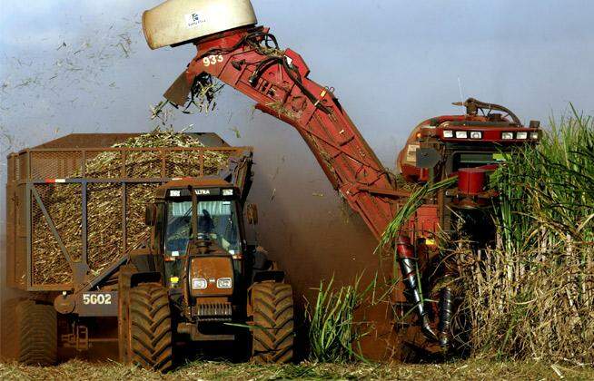 Chuva em áreas de lavoura de cana-de-açúcar prejudicou colheita de julho, avalia Biosul