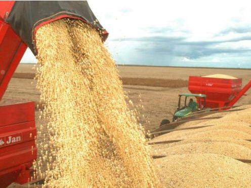 Superávit do agronegócio cai 7,2% em outubro; no ano é 8,2% maior