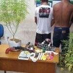 Jovens tentam fugir da polícia e se escondem em buraco com pés de maconha e dinamite