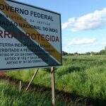Demarcação de terras indígenas pode ter mudança a favor de ruralistas