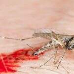 ANS cria grupo técnico para adotar medidas de enfrentamento do vírus Zika