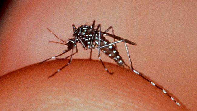 Agentes de saúde ganham 2 folgas para participar de mutirão contra Aedes