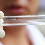Saúde confirma terceira morte por dengue no Estado