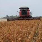 Em Mato Grosso do Sul colheita da soja atinge 10%