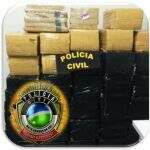 Polícia apreende mais de 700 quilos de maconha e R$ 5 mil em borracharia