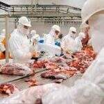 Fim do embargo: frigoríficos de MS voltam a exportar carne bovina para Arábia Saudita