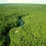 Amazônia peruana entra em estado de emergência por vazamentos de petróleo