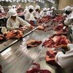 Árabes vão comprar carne de 9 frigoríficos de Mato Grosso do Sul