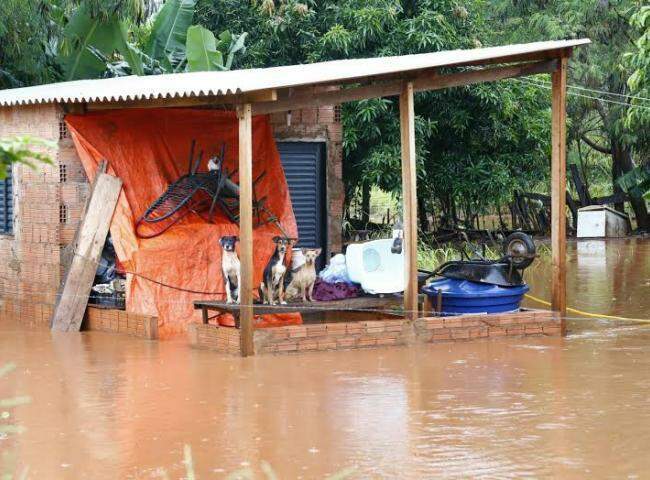 Bernal vai à Justiça para derrubar lei que isenta de IPTU vítimas das enchentes