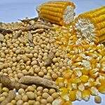 Preço do milho sobe 6% em MS, enquanto soja acumula queda de 9,2%
