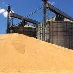 Leilão da Conab vai ofertar 150 mil toneladas de milho estocado em MS e MT