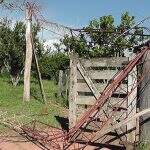 Trabalhador rural morre ao despencar de torre de telefonia de 20 metros