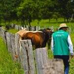 Senar-MS abre seleção para técnicos de campo do programa ABC Cerrado