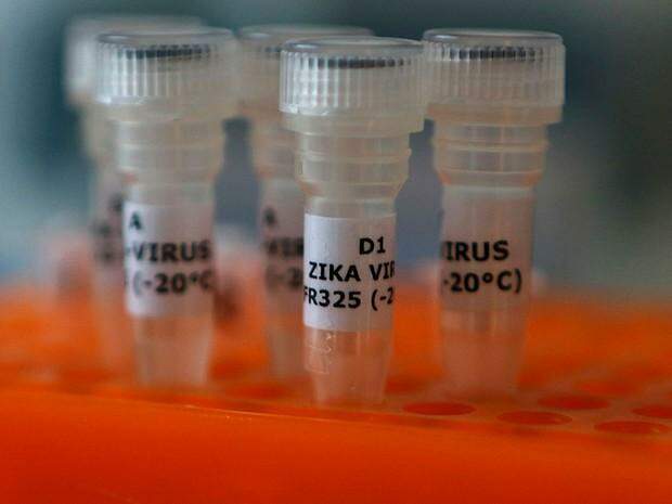 Agência europeia cria grupo de especialistas para estudar vacina contra o Zika