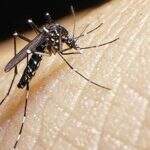Brasil deve se preparar para zika endêmica, dizem cientistas