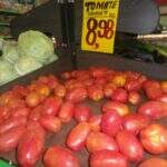 Inflacionou: chuva e alta do frete fazem preço do tomate chegar a quase R$ 9