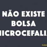 Palácio do Planalto diz que ‘Bolsa Microcefalia’ não existe