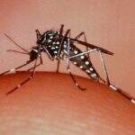 MPE recomenda medidas emergenciais ao combate do Aedes aegypti