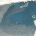 Movimentação estranha durante banho de sol denuncia túnel na Máxima