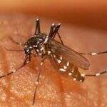 Gestante de oitos meses é diagnosticada com suspeita de Zika na Capital