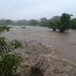 VÍDEO: Rio Verde transborda, inunda casas e desabriga 20 famílias