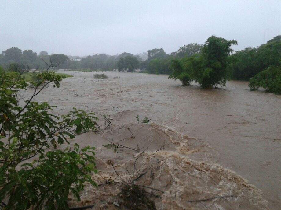 VÍDEO: Rio Verde transborda, inunda casas e desabriga 20 famílias