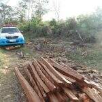 PMA autua fazendeira em R$ 22,6 mil por derrubada e exploração ilegal de madeira
