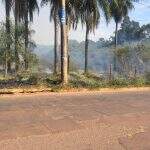 Moradora reclama de queimadas na região da Avenida Guaicurus