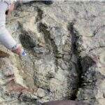 Maior pegada de dinossauro já encontrada na Bolívia; confira