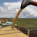 Valor da produção agropecuária é de R$ 514,4 bilhões em junho
